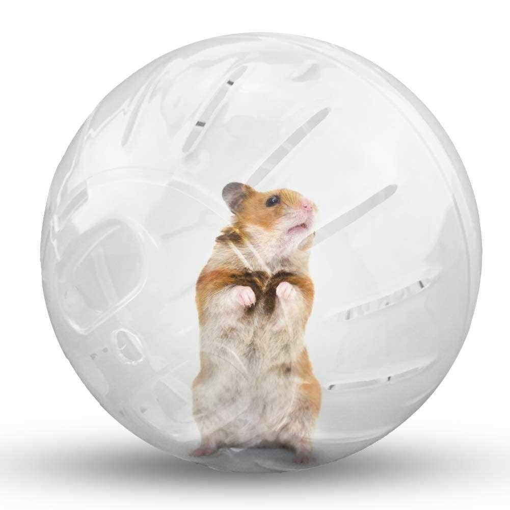 Transparent Hamster Exercise Ball B68771