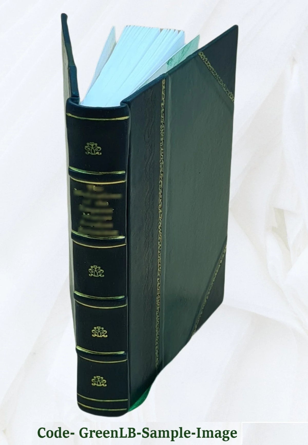 Leather Bound Book A9761