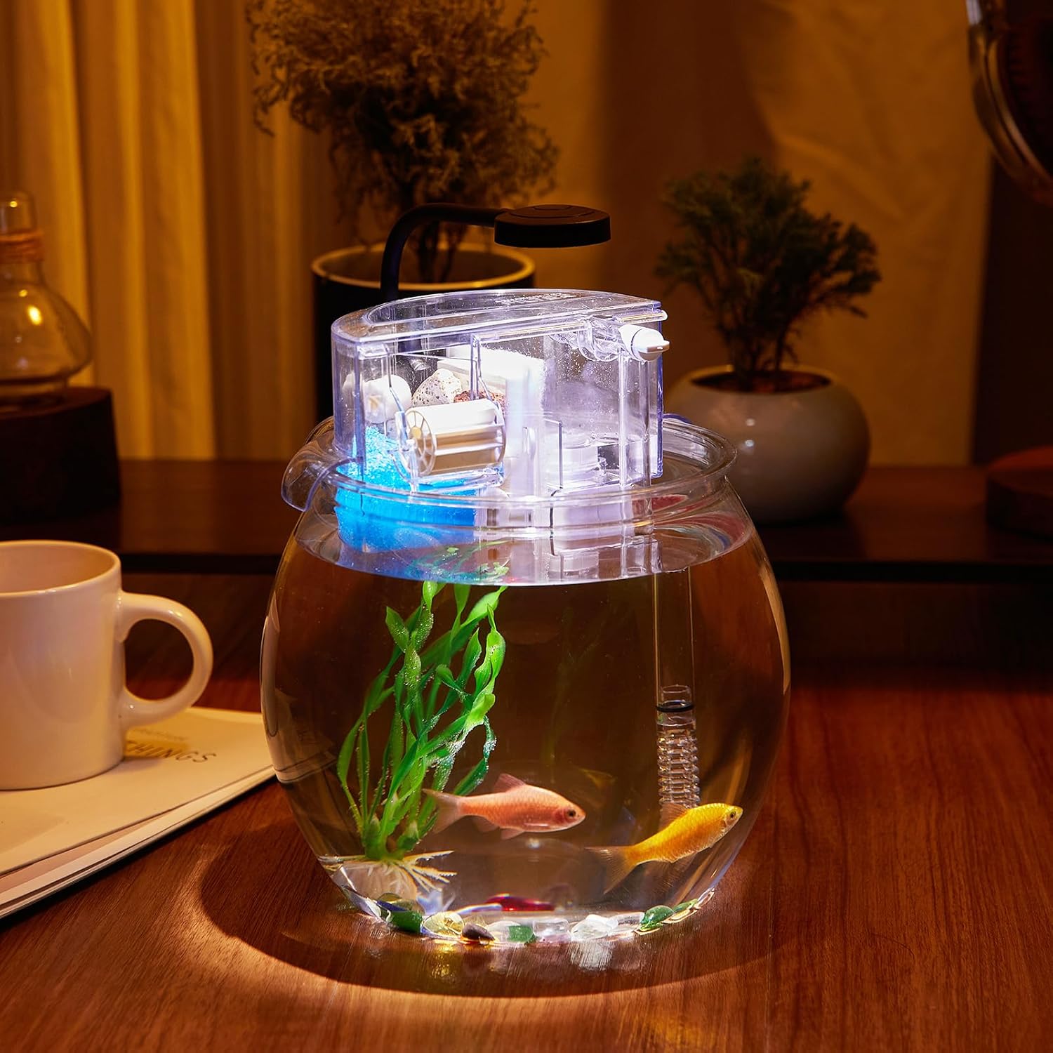 1 Gallon Clear Plastic Round Fish Tank with Filter and Light W9325