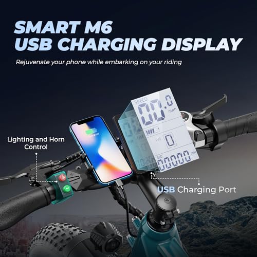 26'' x 4.0'' Fat Tire Electric Mountain Bike with 480Wh Battery 7 Speed T761