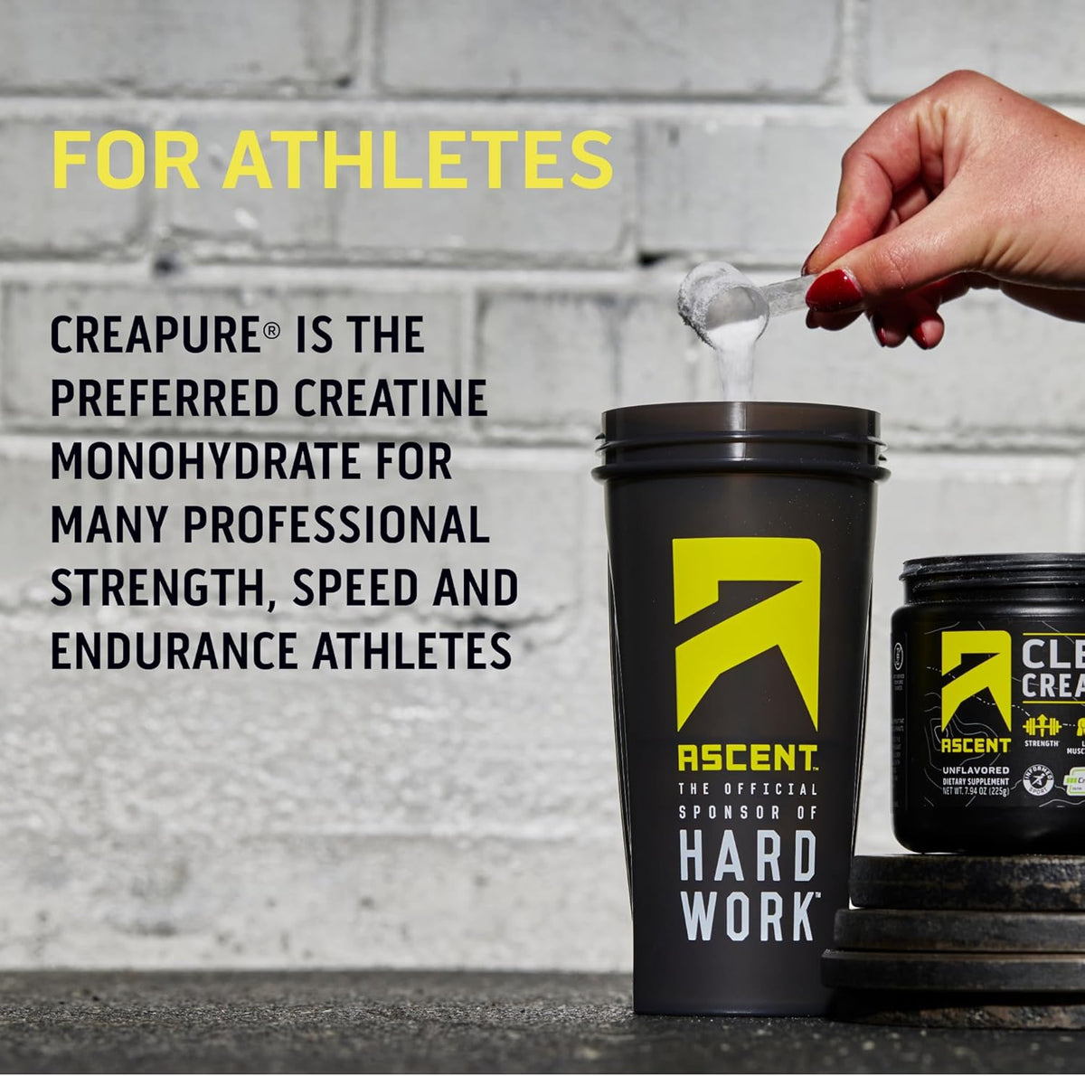 Unflavored Creatine Monohydrate Powder, 45 Servings N925125