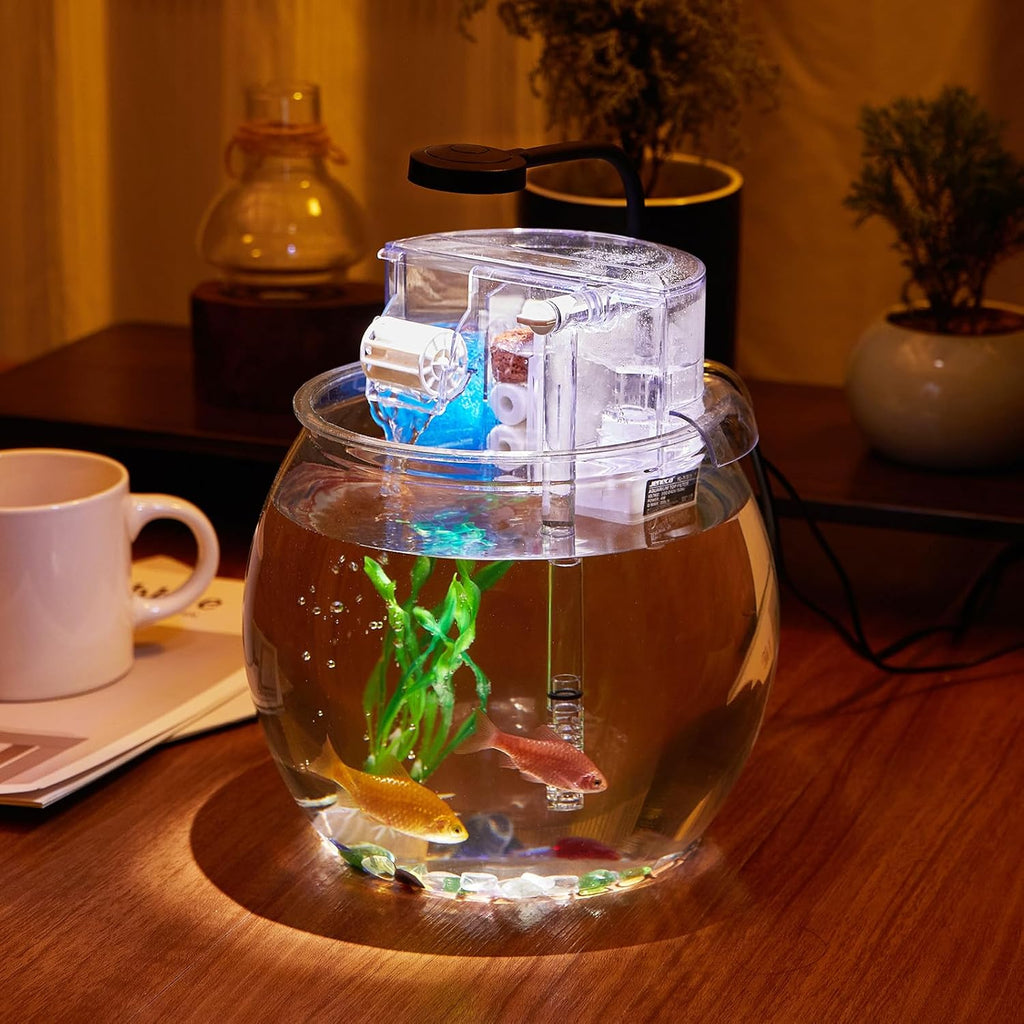 1 Gallon Clear Plastic Round Fish Tank with Filter and Light W9325