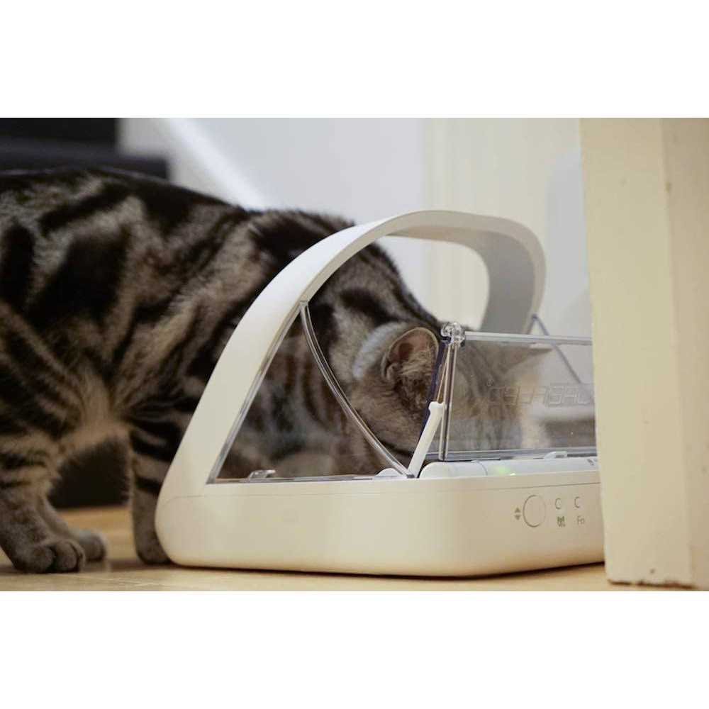 Microchip Pet Feeder V246