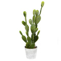 Potted Cactus in Concrete Pot F2421