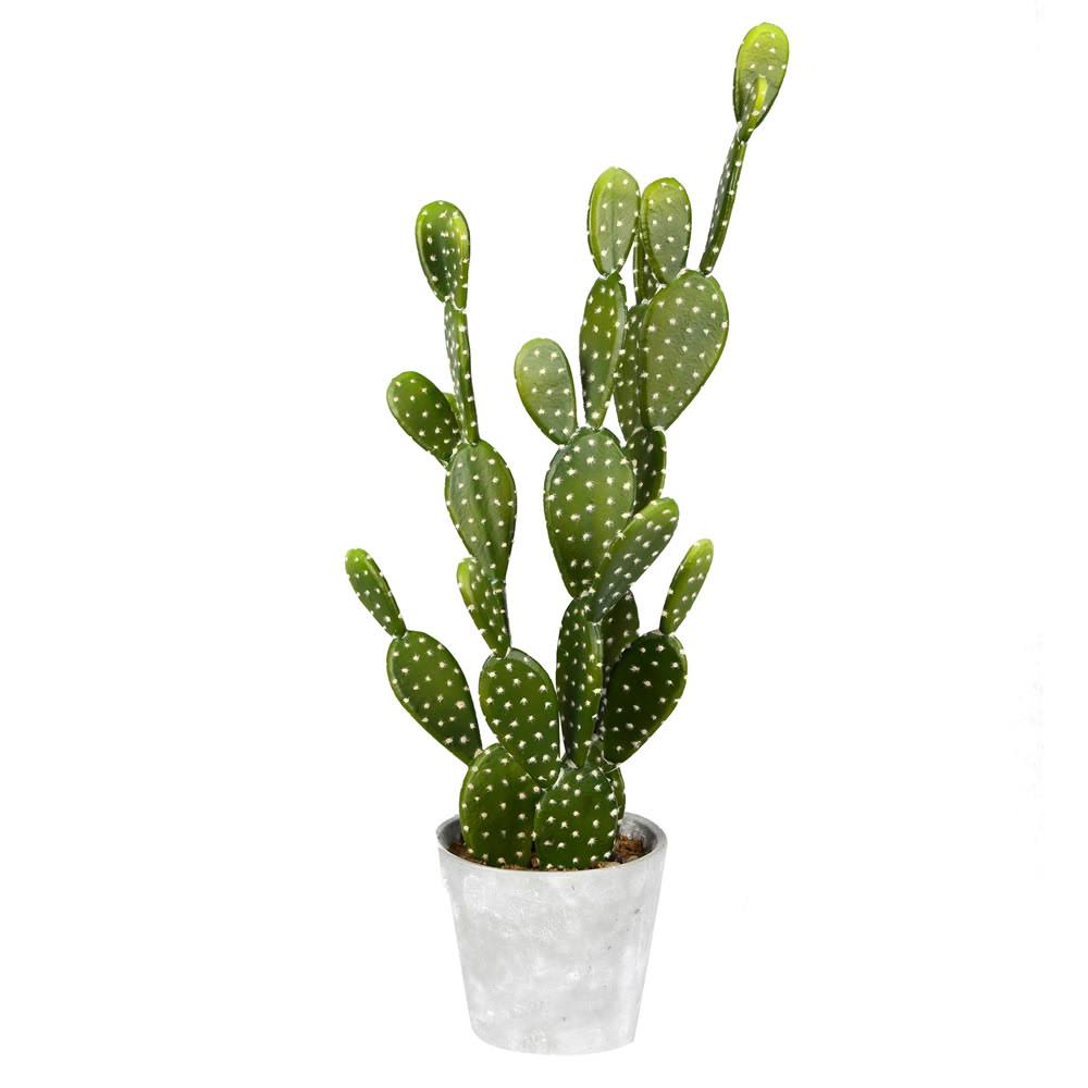 Potted Cactus in Concrete Pot F2421