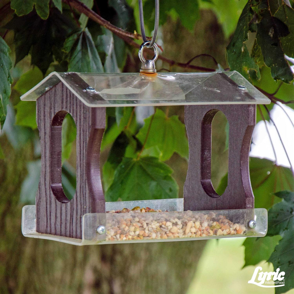 Wild Bird Food J9351