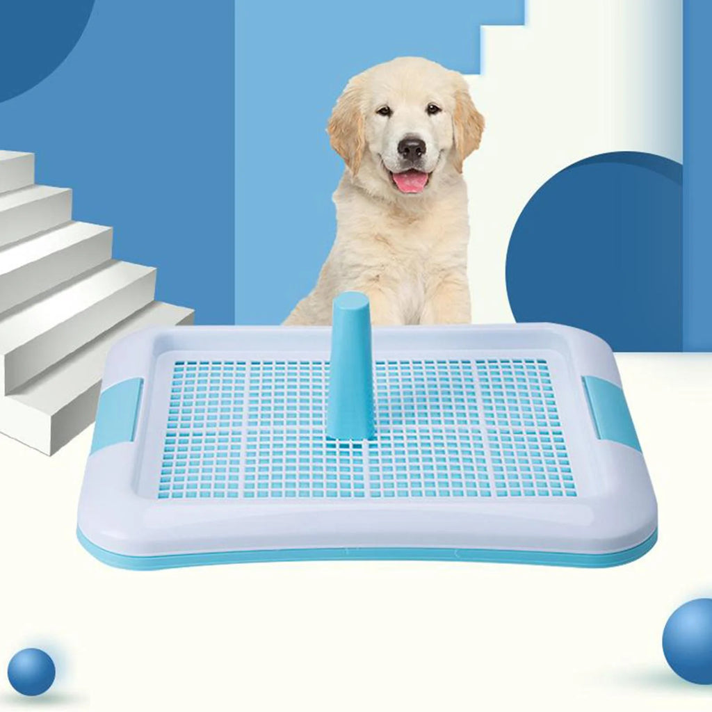 Indoor Dog Potty Tray N646