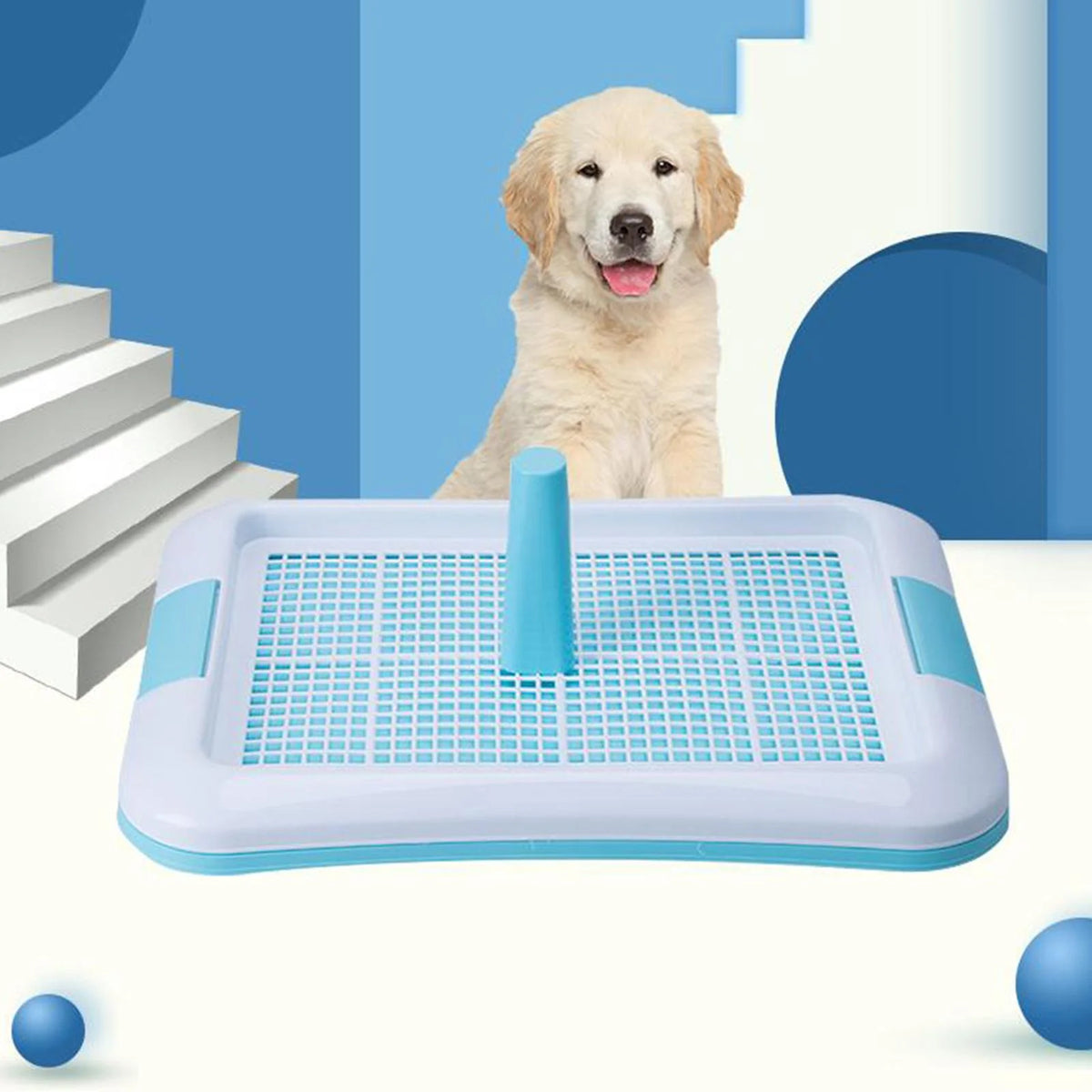 Indoor Dog Potty Tray N646