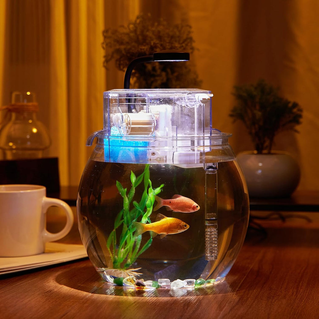 1 Gallon Clear Plastic Round Fish Tank with Filter and Light W9325