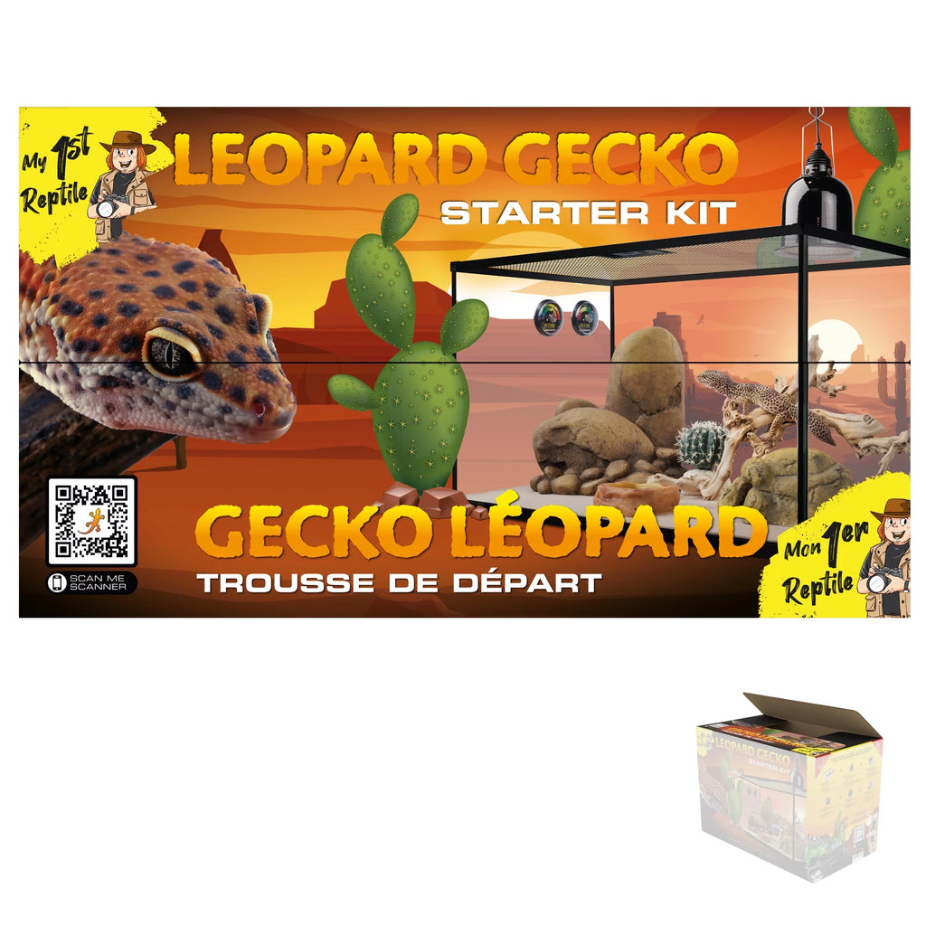 Leopard Gecko Reptile Starter Kit Z900369