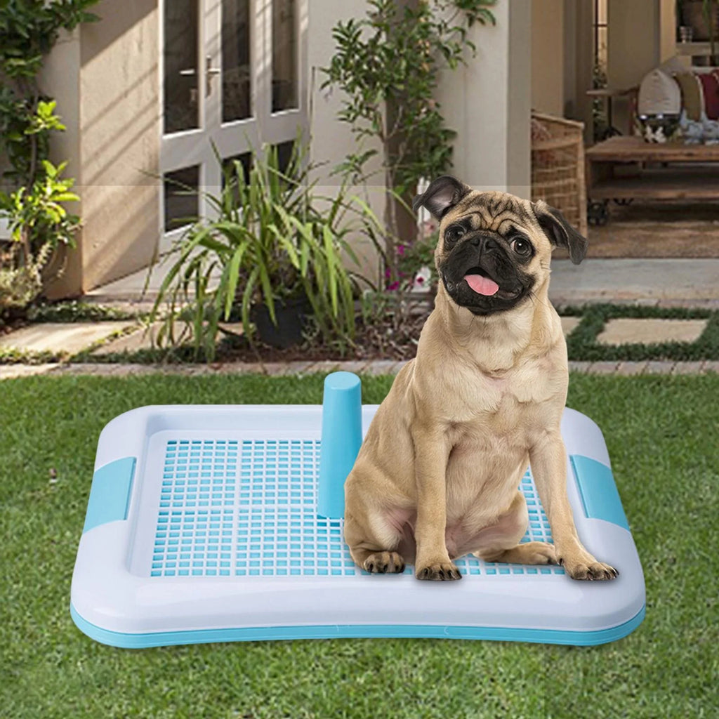 Indoor Dog Potty Tray N646