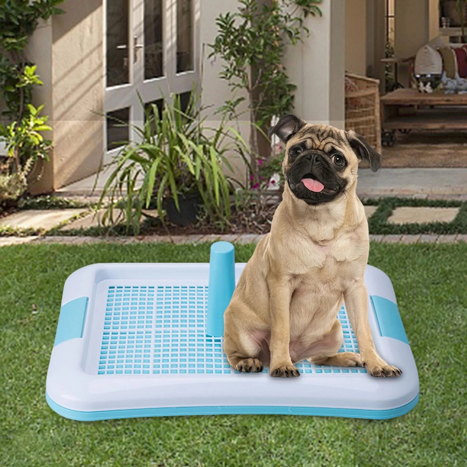 Indoor Dog Potty Tray N646