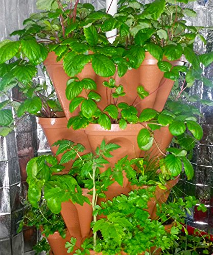 Vertical Gardening Stackable Planters T6559