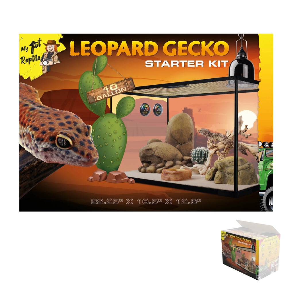 Leopard Gecko Reptile Starter Kit Z900369
