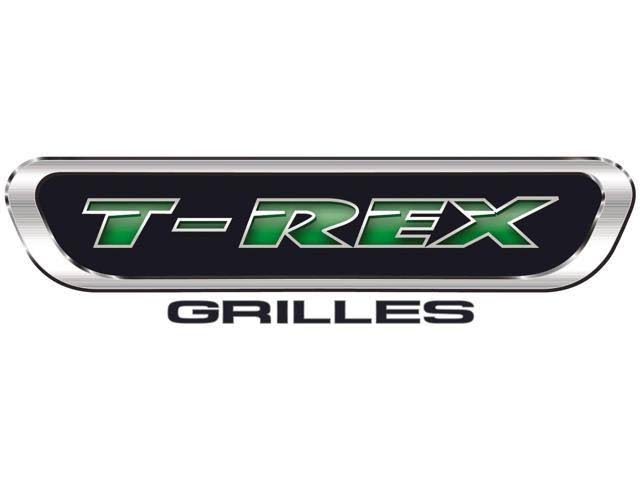 Mesh Bumper Grille Overlay S964