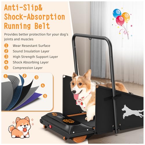 Dog Treadmill for Small & Medium Dogs up to 220lbs M247340