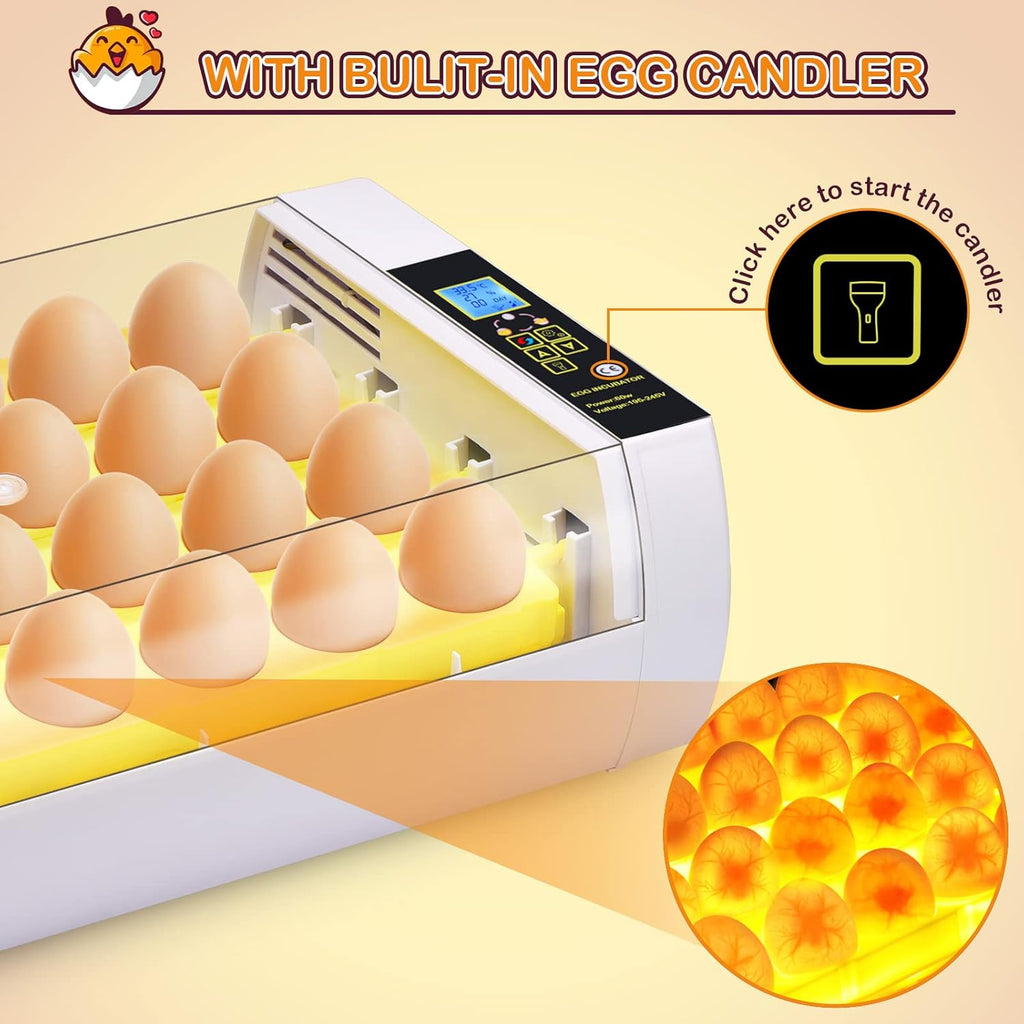 24 Eggs Incubator with Automatic Egg Turning T633