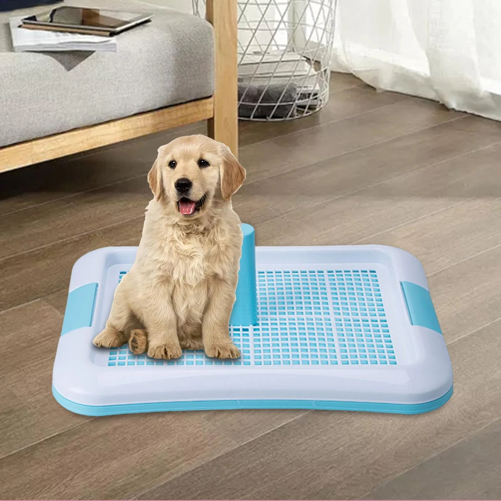 Indoor Dog Potty Tray N646