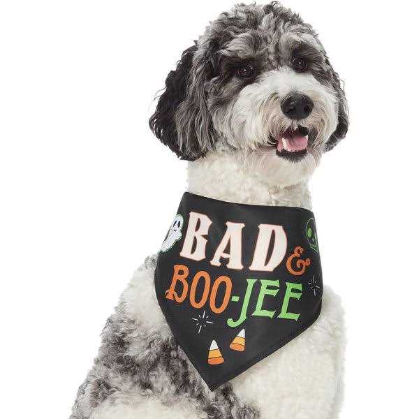 Dog Toy L511413