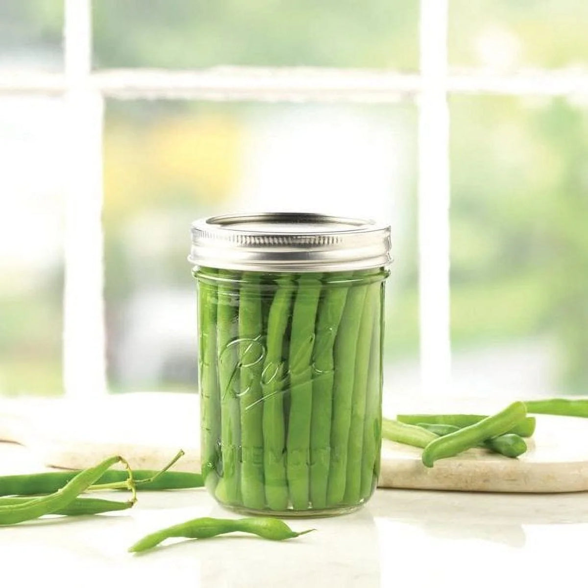 12-Count 16-Ounce Glass Mason Jar with Lids and Bands T562