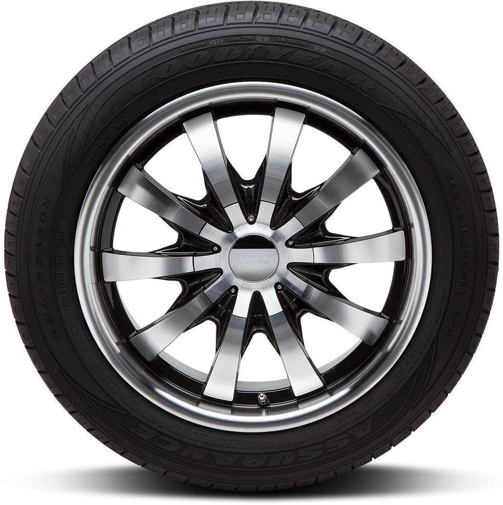 205/70R15 96T All-Season Radial Tire R698