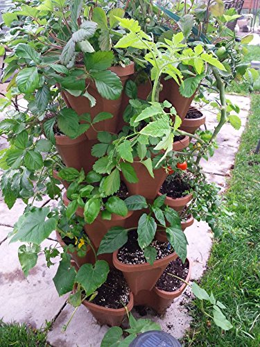 Vertical Gardening Stackable Planters T6559