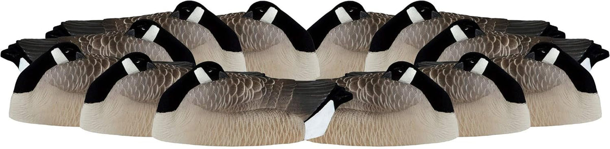 Pack of 12 Flocked Sleeper Shell Decoy Y523322