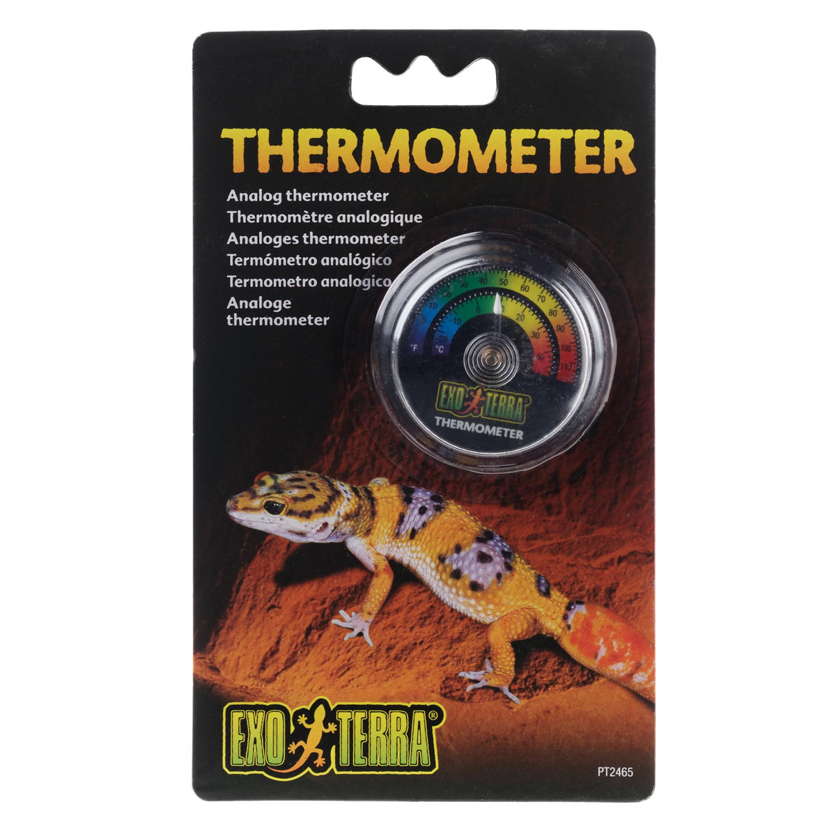 Leopard Gecko Reptile Starter Kit Z900369