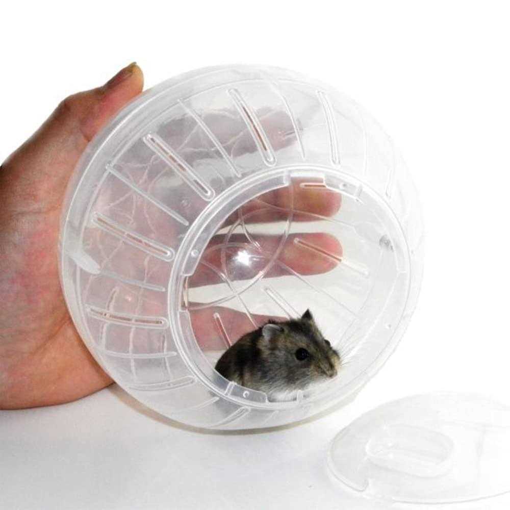 Transparent Hamster Exercise Ball B68771