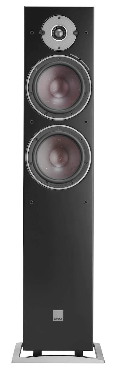 Black Floorstanding Speaker Z28622