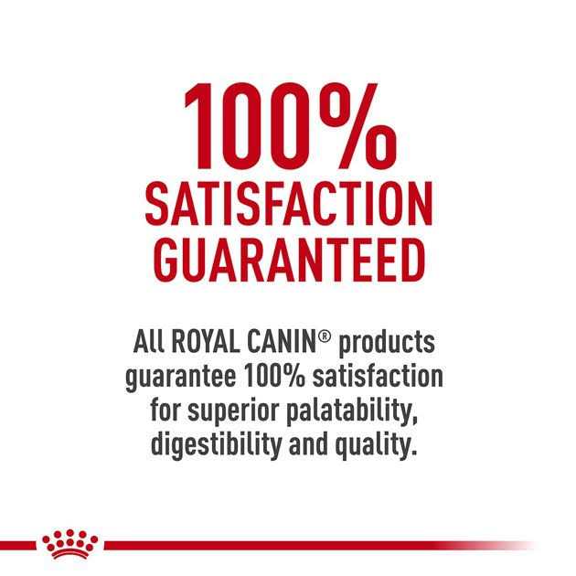 Hydrolyzed Protein Feline Treats V945