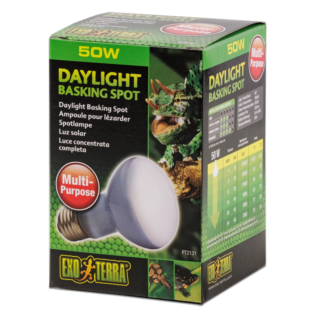 Leopard Gecko Reptile Starter Kit Z900369