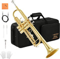 Bb Standard Brass Trumpet with Case N38647