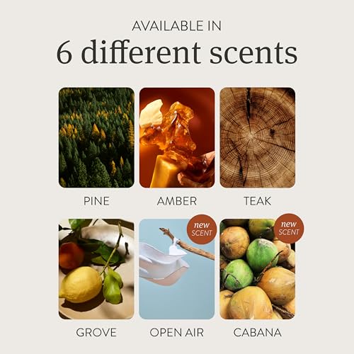 Pack of 3 Wood Car Air Freshener Y12784