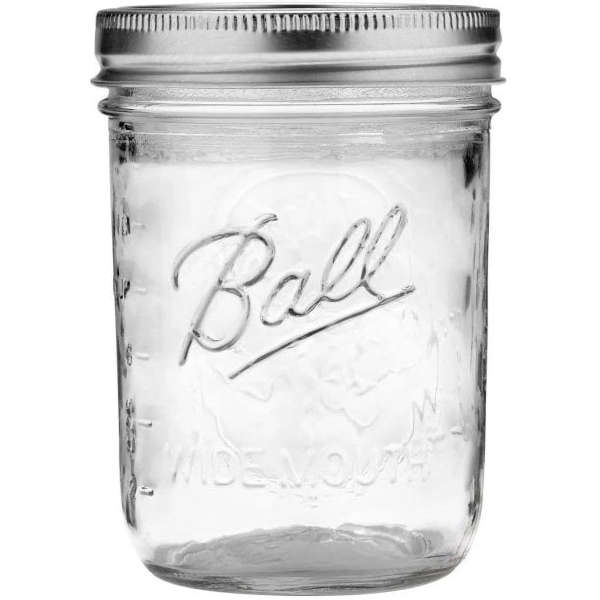 12-Count 16-Ounce Glass Mason Jar with Lids and Bands T562
