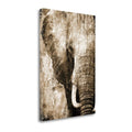 African Animals I - Sepia E68368