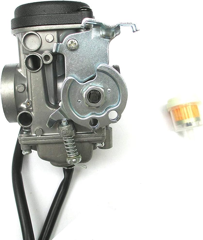 Carburetor & Fuel Filter for Yamaha TW200 2001-2017 V314130