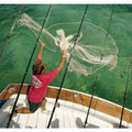 Steel Bait Cast Nets R238258